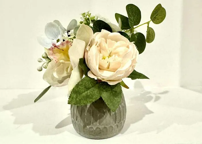 Lokietka Kawalerka Legnica